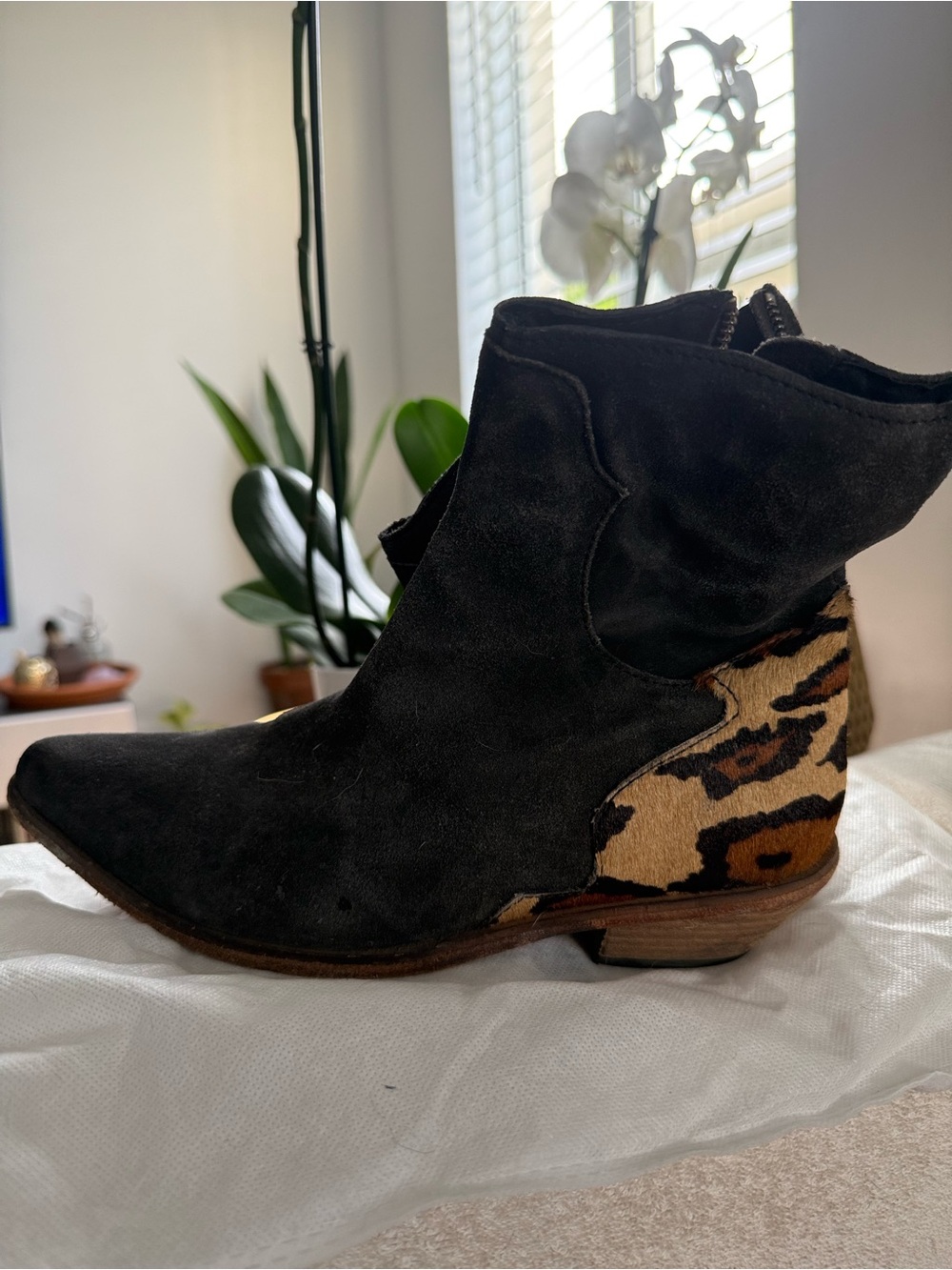 Free People Black/charcoal gray Suede Ankle Boot with Leopard pony hair Accent